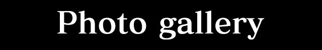 フォトギャラリー