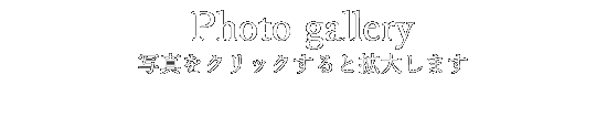 Photo gallery